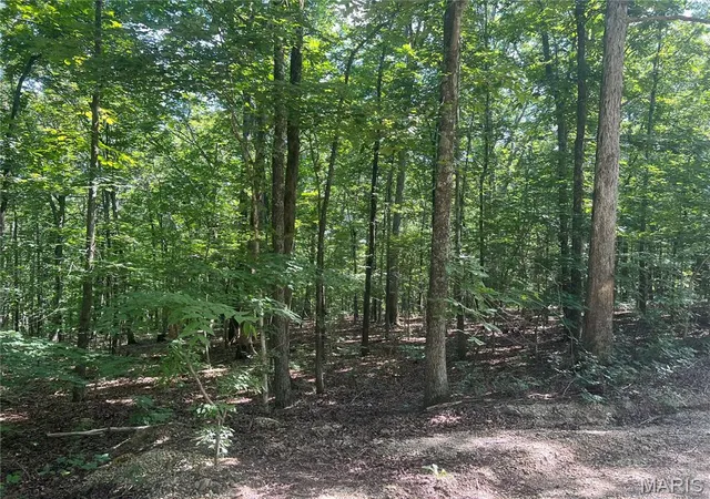 3rd image of Tbd Forest Dr, Wappapello, MO 63966 | MLS# MIS26047559