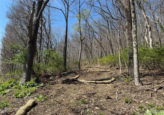 Photo 1 of Land for sale at 0 Gravois Rd, House Springs, MO 63051 | MLS# MIS26047638 | Listing updated on 2026-08-12