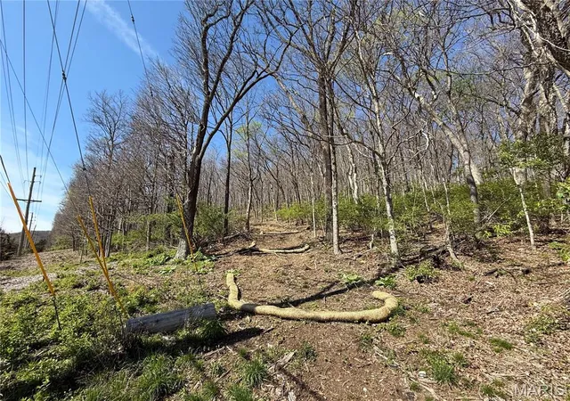 Photo 2 of Land for sale at 0 Gravois Rd, House Springs, MO 63051 | MLS# MIS26047638 | Listing updated on 2026-08-12