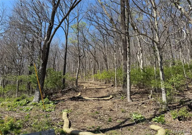 Photo 3 of Land for sale at 0 Gravois Rd, House Springs, MO 63051 | MLS# MIS26047638 | Listing updated on 2026-08-12