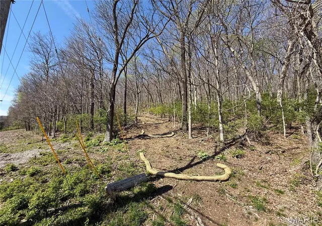 Photo 3 of Land for sale at 0 Gravois Rd, House Springs, MO 63051 | MLS# MIS26047638 | Listing updated on 2026-08-12