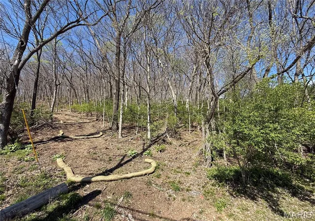 Photo 4 of Land for sale at 0 Gravois Rd, House Springs, MO 63051 | MLS# MIS26047638 | Listing updated on 2026-08-12