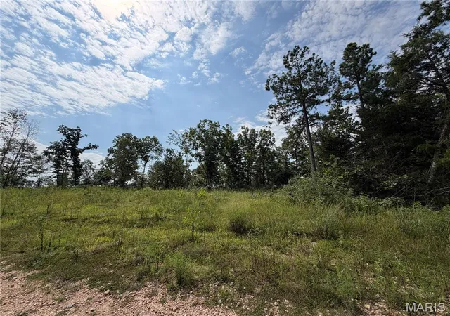 2nd image of #136 Madison 410, Fredericktown, MO 63645 | MLS# MIS26047688