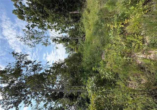 Photo 3 of Land for sale at #136 Madison 410, Fredericktown, MO 63645 | MLS# MIS26047688 | Listing updated on 2026-07-25