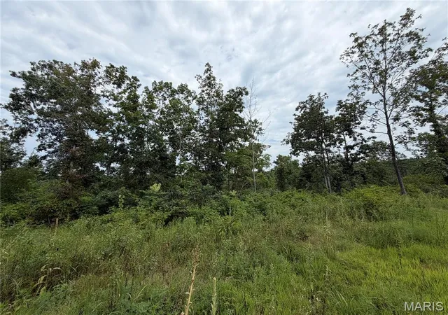 2nd image of #400 Madison 410, Fredericktown, MO 63645 | MLS# MIS26047692