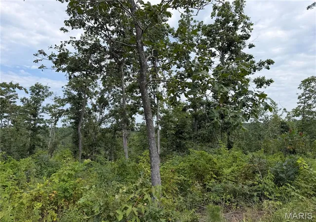 Photo 3 of Land for sale at #400 Madison 410, Fredericktown, MO 63645 | MLS# MIS26047692 | Listing updated on 2026-07-25