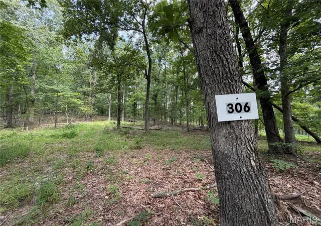 1st image of #306 Madison 410, Fredericktown, MO 63645 | MLS# MIS26047693