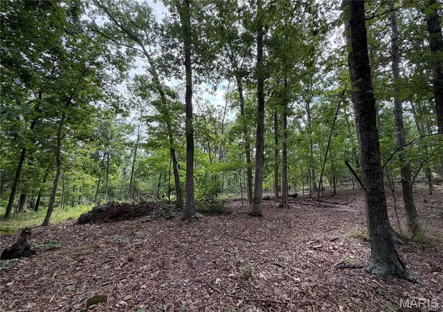 3rd image of #306 Madison 410, Fredericktown, MO 63645 | MLS# MIS26047693