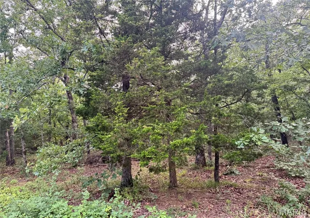 1st image of 645 Pond Run Rd, Gerald, MO 63037 | MLS# MIS26047705
