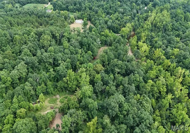 3rd image of 14163 Hwy C, Annapolis, MO 63620 | MLS# MIS26047793