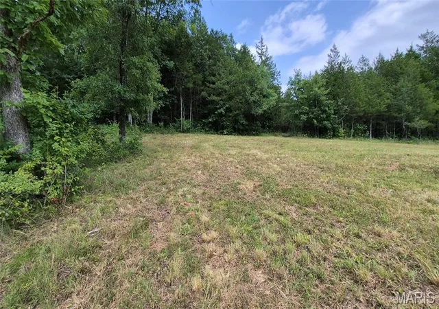 53rd image of 14163 Hwy C, Annapolis, MO 63620 | MLS# MIS26047793