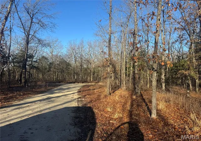 4th image of 42850 Maries Road 638, Crocker, MO 65452 | MLS# MIS26047851