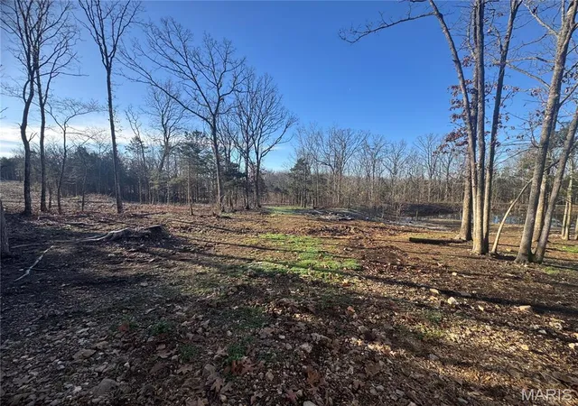 46th image of 42850 Maries Road 638, Crocker, MO 65452 | MLS# MIS26047851