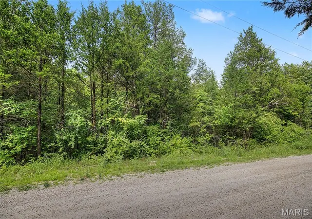 2nd image of 55 & 56 Cedargate, Dittmer, MO 63023 | MLS# MIS26048002