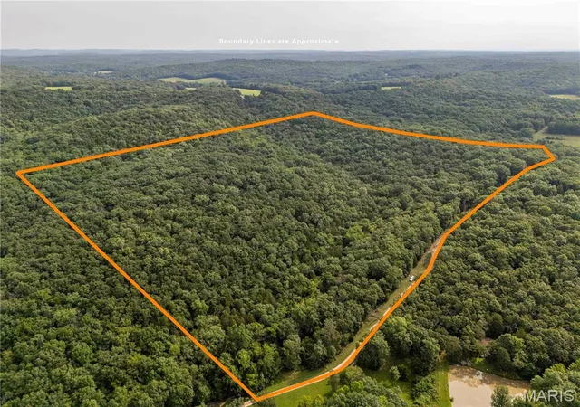 Photo 1 of Land for sale at 00 Walz Rd, Hermann, MO 65041 | MLS# MIS26048004 | Listing updated on 2026-08-05