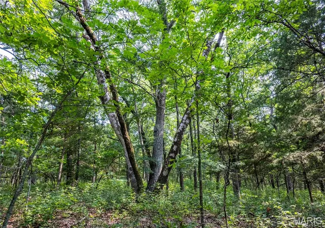 Photo 3 of Land for sale at 00 Walz Rd, Hermann, MO 65041 | MLS# MIS26048004 | Listing updated on 2026-08-05