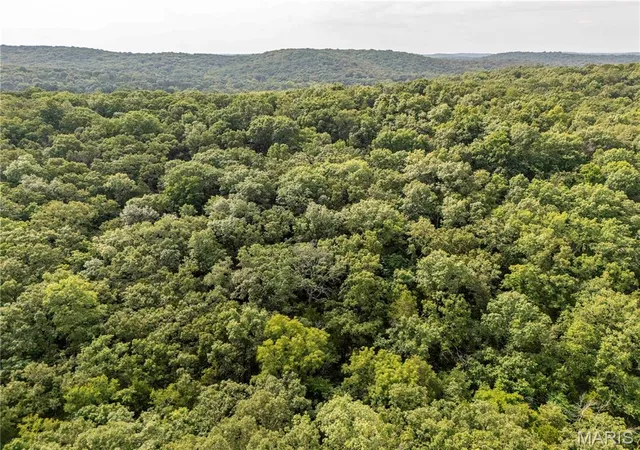 Photo 4 of Land for sale at 00 Walz Rd, Hermann, MO 65041 | MLS# MIS26048004 | Listing updated on 2026-08-05