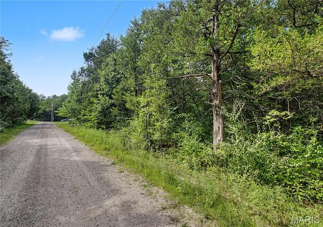 2nd image of 53 & 54 Cedargate, Dittmer, MO 63023 | MLS# MIS26048006