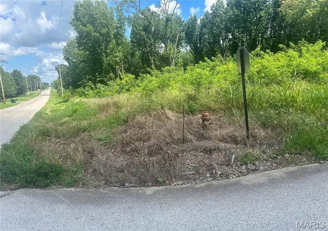 1st image of 0 Tamarak Ln, Dexter, MO 63841 | MLS# MIS26048087