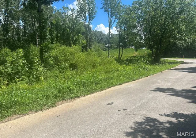 3rd image of 0 Tamarak Ln, Dexter, MO 63841 | MLS# MIS26048087