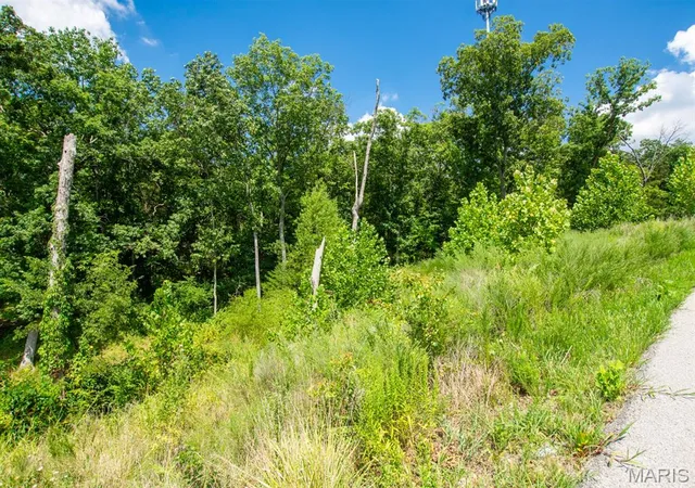 15th image of 105 Long Oaks Dr, Imperial, MO 63052 | MLS# MIS26048106