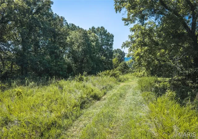 14th image of Lot 13a Loop Ln, Dixon, MO 65459 | MLS# MIS26048109