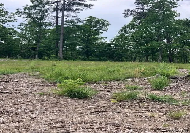 1st image of 276 Madison Cr 410, Fredericktown, MO 63645 | MLS# MIS26048196