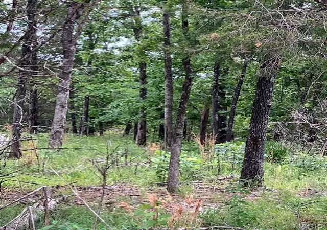 1st image of 278 Madison Cr 410, Fredericktown, MO 63645 | MLS# MIS26048201