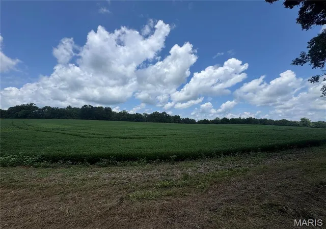 1st image of 10114+/  Ac Hwy D, Frohna, MO 63748 | MLS# MIS26048242