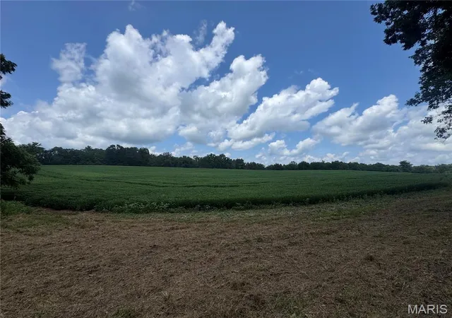 2nd image of 10114+/  Ac Hwy D, Frohna, MO 63748 | MLS# MIS26048242