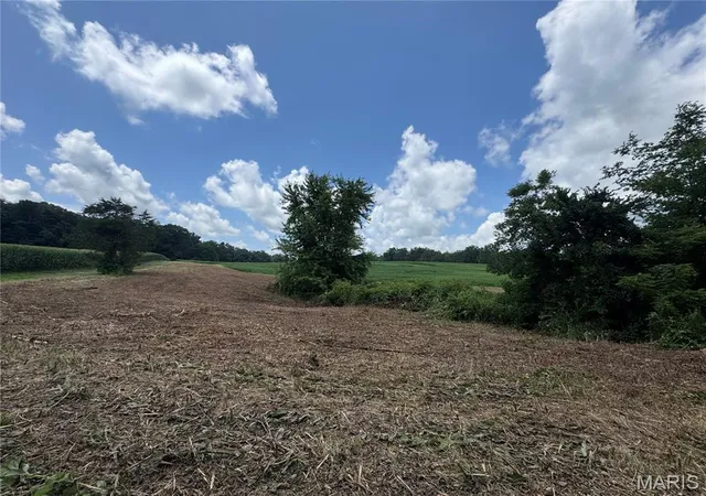 Photo 3 of Land for sale at 10114+/  Ac Hwy D, Frohna, MO 63748 | MLS# MIS26048242 | Listing updated on 2026-07-30