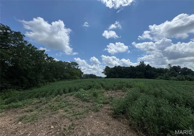 Photo 4 of House for sale at 10114+/- Ac Hwy D, Frohna, MO 63748 | MLS# MIS26048242 | Listing updated on 2026-07-30