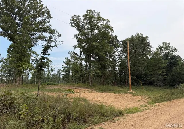 Photo 2 of Land for sale at Tract 6 Bcr 702, Glenallen, MO 63751 | MLS# MIS26048327 | Listing updated on 2026-08-04
