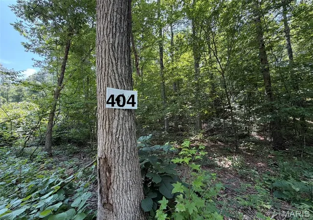 1st image of #404 Madison 410, Fredericktown, MO 63645 | MLS# MIS26048402