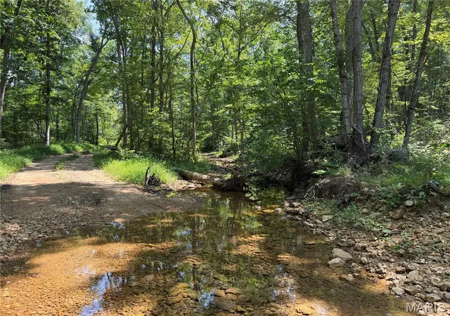 2nd image of #404 Madison 410, Fredericktown, MO 63645 | MLS# MIS26048402
