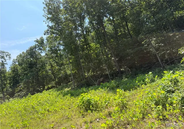 5th image of #404 Madison 410, Fredericktown, MO 63645 | MLS# MIS26048402
