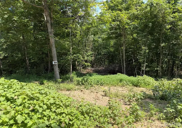 1st image of #408 Madison 410, Fredericktown, MO 63645 | MLS# MIS26048418