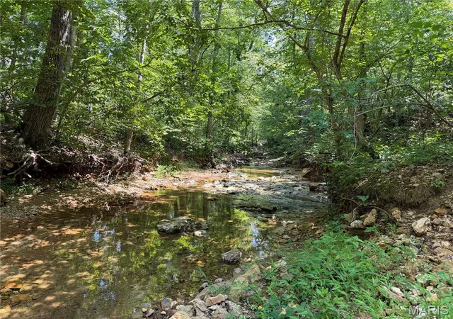 3rd image of #408 Madison 410, Fredericktown, MO 63645 | MLS# MIS26048418