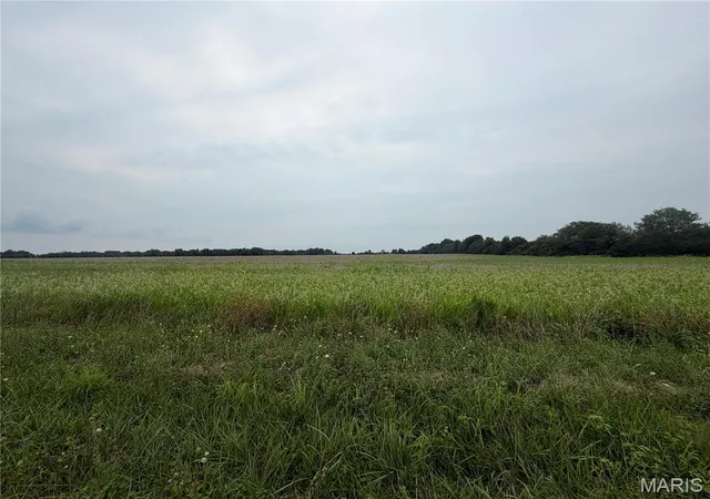 Photo 3 of Land for sale at 6269 Acres Hickory Lick Rd, Wright City, MO 63390 | MLS# MIS26048470 | Listing updated on 2026-08-19