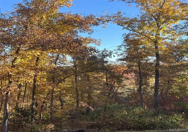 60th image of 2865 Mammoth Woods Trl, De Soto, MO 63020 | MLS# MIS26048497
