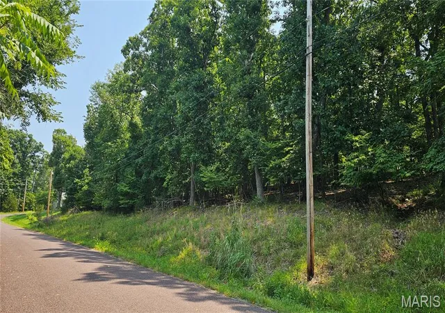 3rd image of 125 N Kings Rd, Marthasville, MO 63357 | MLS# MIS26048548