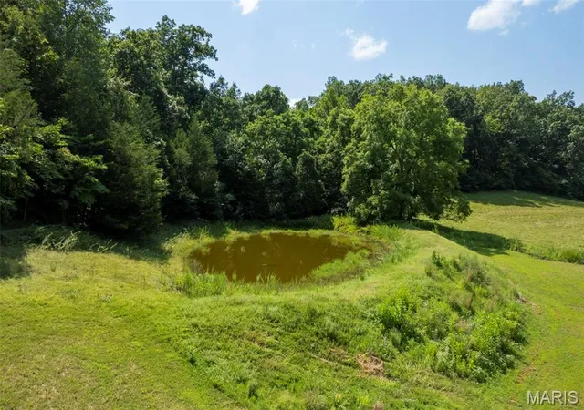 Photo 3 of House for sale at Tbd County Road 445A, Redford, MO 63665 | MLS# MIS26048587 | Listing updated on 2026-08-07
