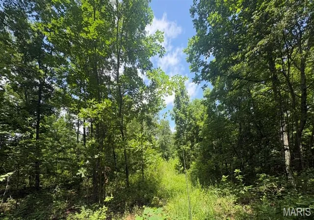 1st image of 0 H Hwy, Ellington, MO 63638 | MLS# MIS26048607