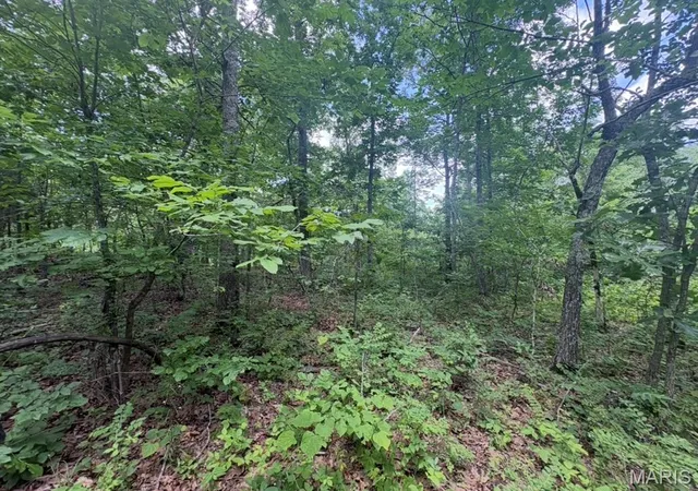 2nd image of 0 H Hwy, Ellington, MO 63638 | MLS# MIS26048607