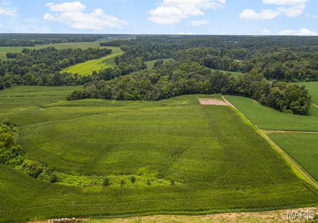 Photo 3 of Land for sale at 4145 Levy Ln, Millstadt, IL 62260 | MLS# MIS26048669 | Listing updated on 2026-07-30