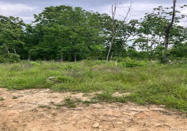 3rd image of 38 Madison Cr 410, Fredericktown, MO 63645 | MLS# MIS26048694