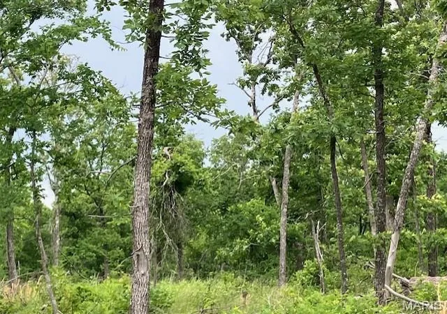 1st image of 75 Madison Cr 410, Fredericktown, MO 63645 | MLS# MIS26048695
