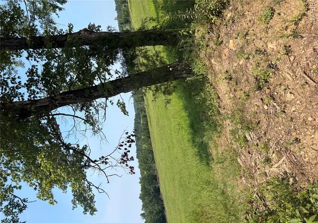47th image of 2882 Wayne Route Cc, Piedmont, MO 63957 | MLS# MIS26048798