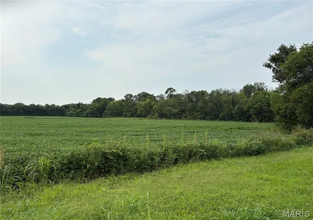 34th image of 6223 Church Rd, East Saint Louis, IL 62207 | MLS# MIS26049064