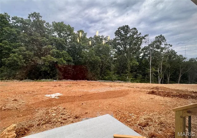 14th image of 713 Blake Dr, Hillsboro, MO 63050 | MLS# MIS26049069